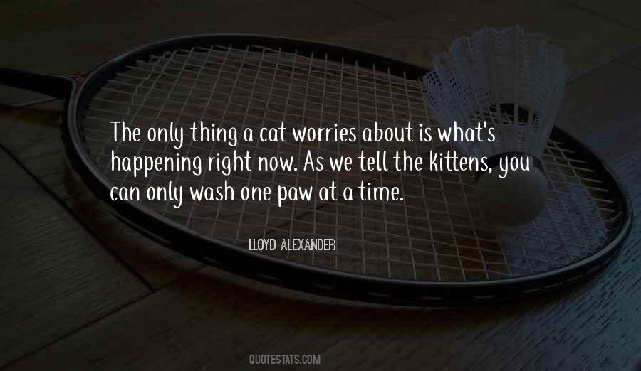 About Cats Quotes #1320395