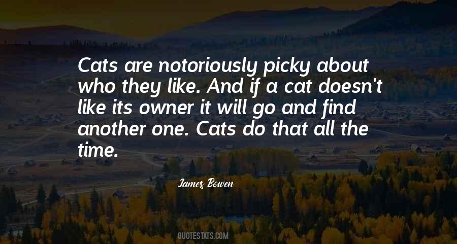 About Cats Quotes #608147