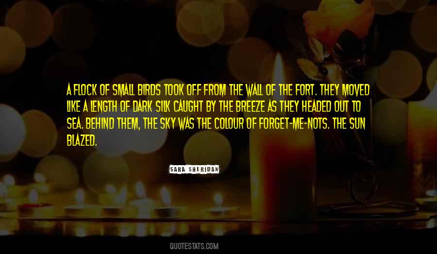 Small Ocean Quotes #1432604