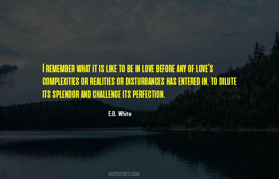 What Its Like To Be Quotes #1743184