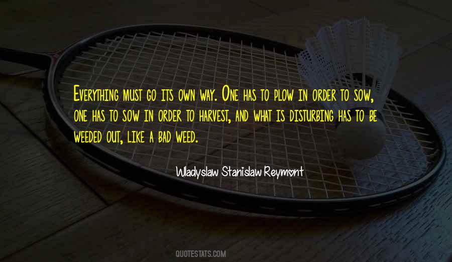 What Its Like To Be Quotes #422558