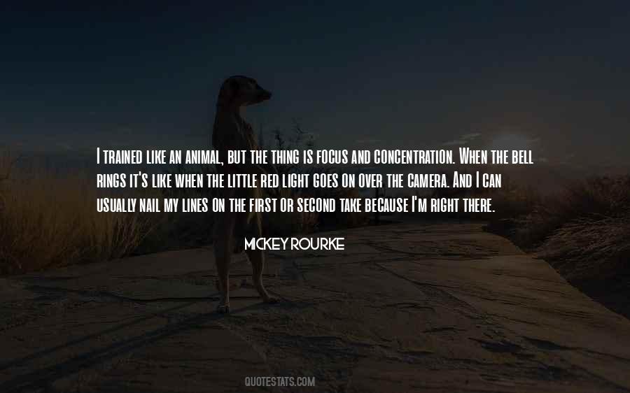 Focus Light Quotes #501711