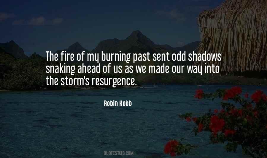 Burning Past Quotes #532634