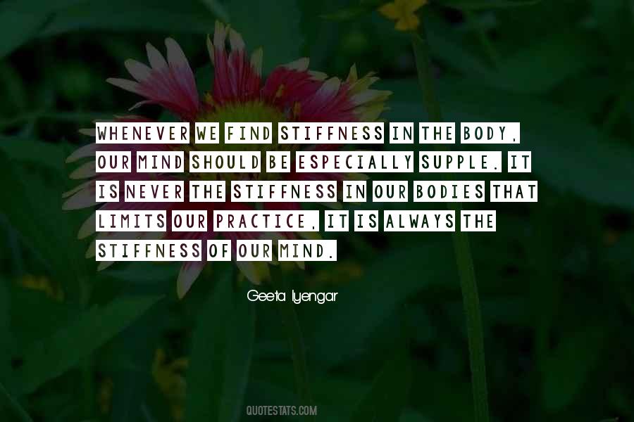You Have No Limits Quotes #16531