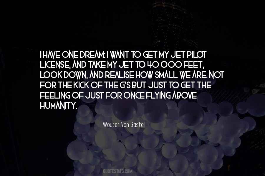 Pilot Flying Quotes #623639