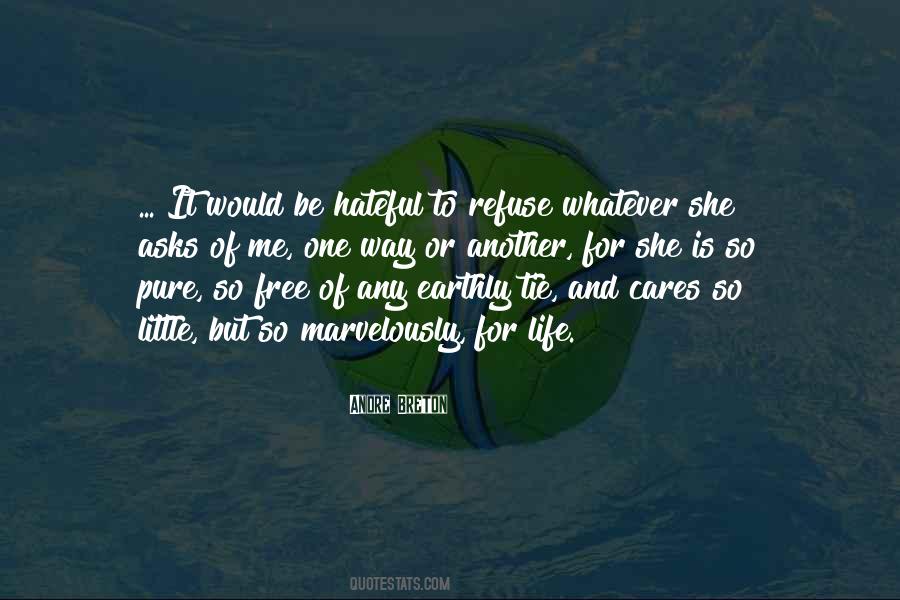 No One Cares For You Quotes #1879113