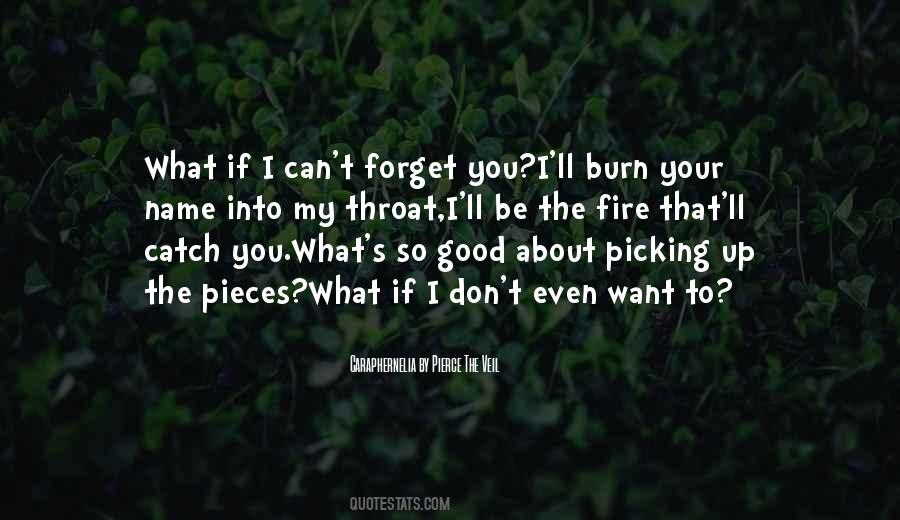 I Can T Forget You Quotes #394188