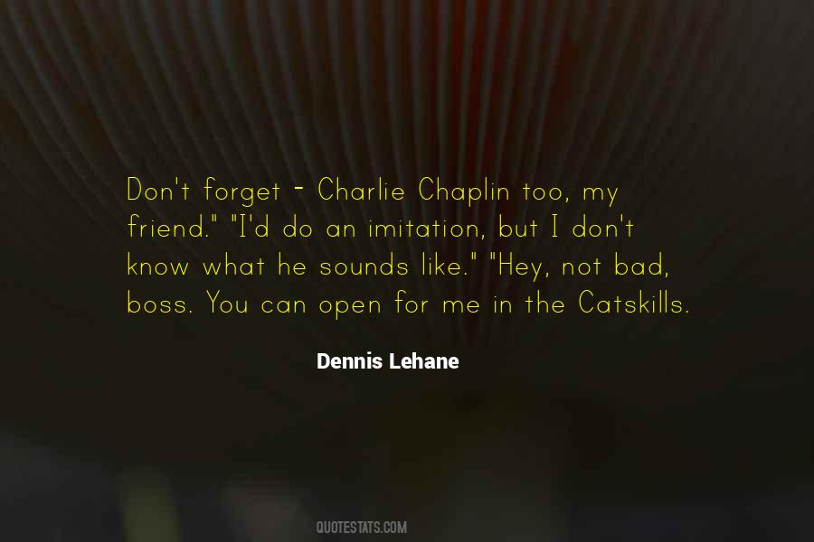 I Can T Forget You Quotes #43089