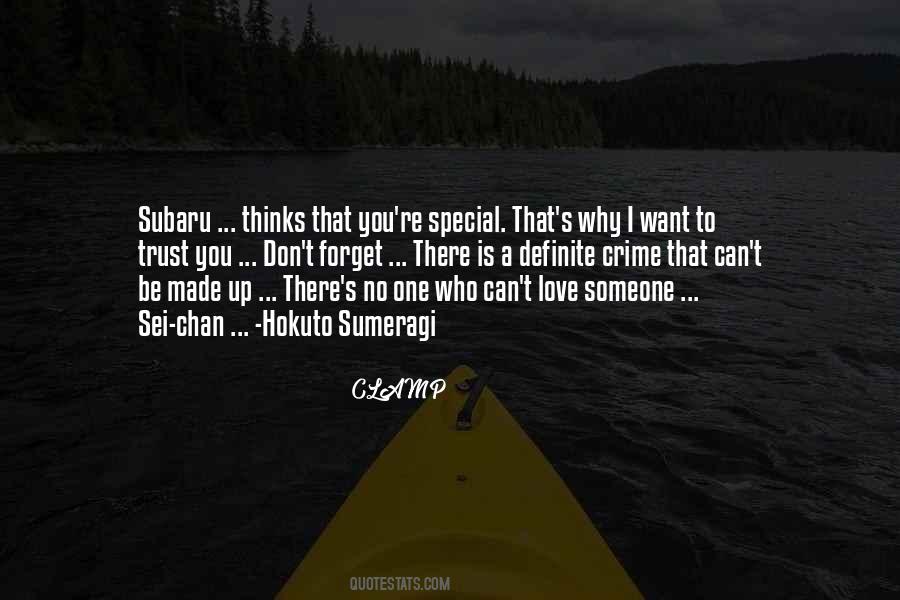 I Can T Forget You Quotes #696272