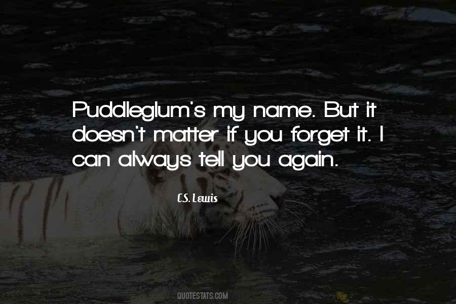 I Can T Forget You Quotes #770120