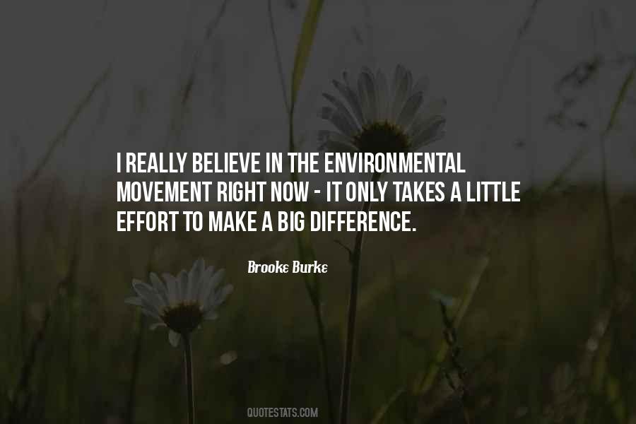 Quotes About Little Things That Make A Big Difference #1136259