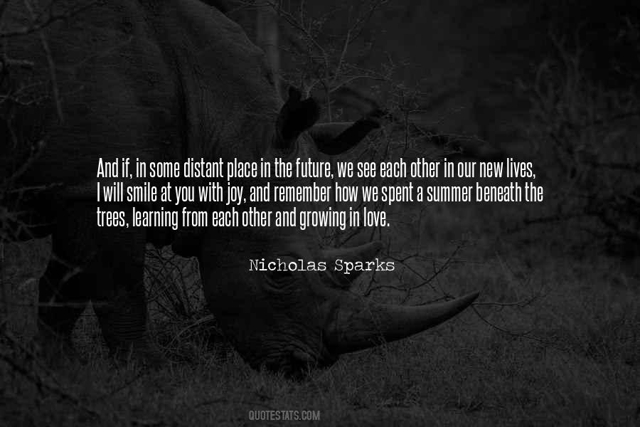 Quotes About Future Joy #1011532