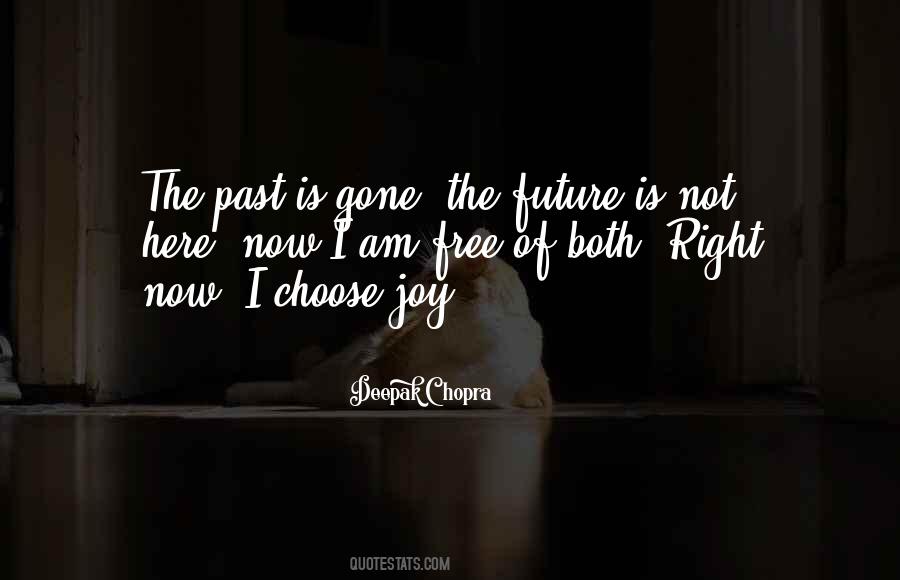 Quotes About Future Joy #1108740