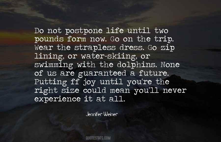 Quotes About Future Joy #1648286