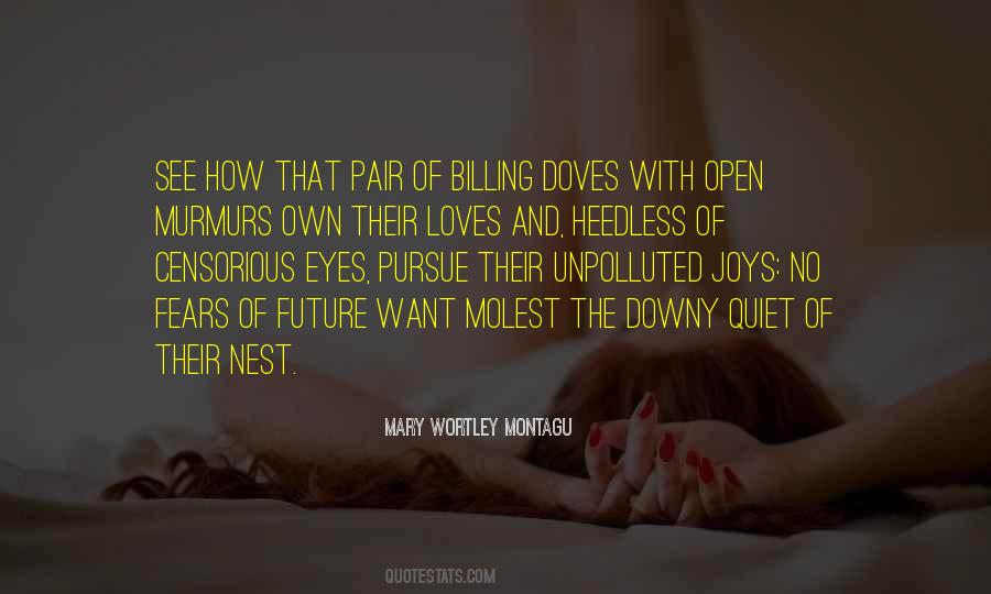 Quotes About Future Joy #317405