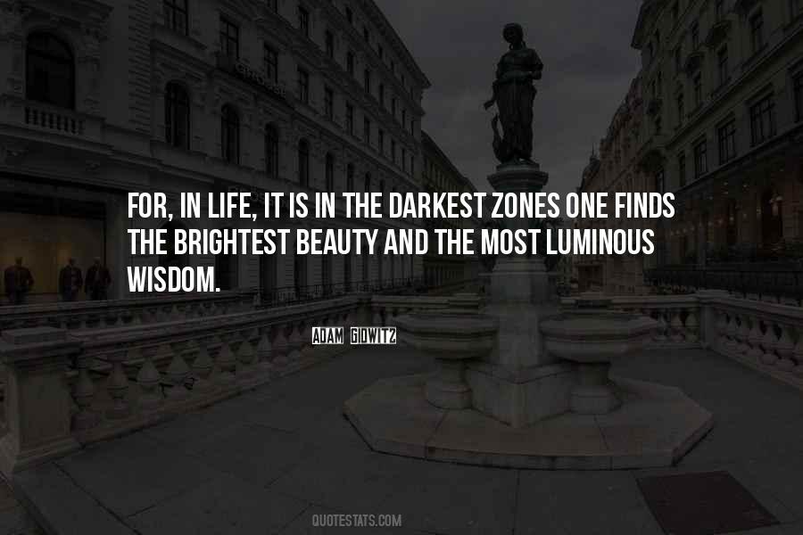 Beauty In The Darkness Quotes #1241894