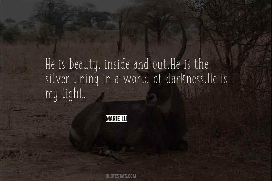 Beauty In The Darkness Quotes #1830578