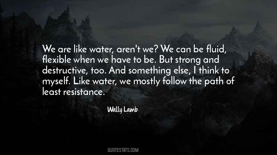 Follow The Path Of Least Resistance Quotes #59829