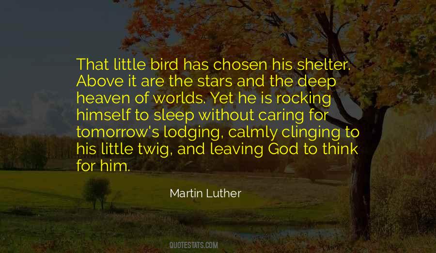 God's Shelter Quotes #1872403