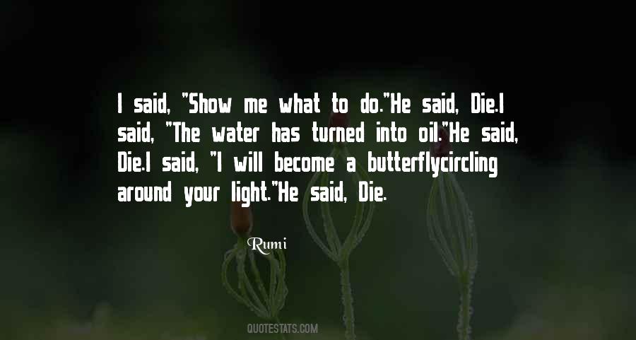 Show Me The Light Quotes #490452