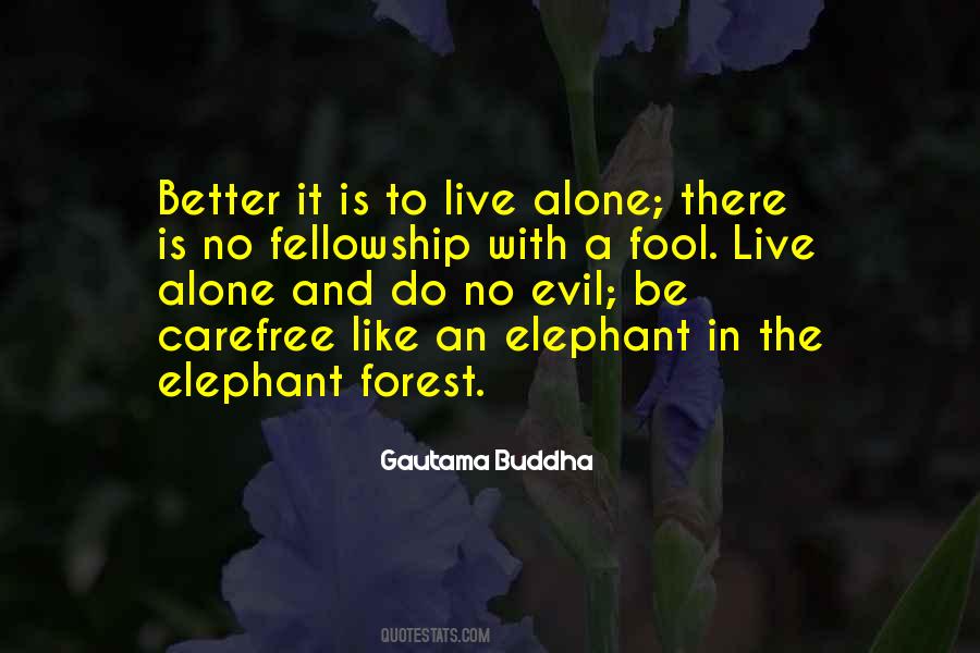 Better To Be A Fool Quotes #228302