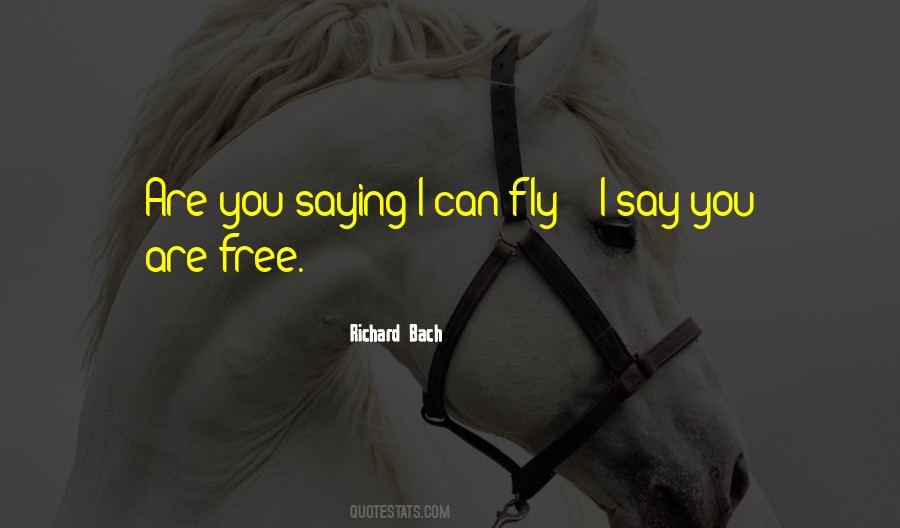 I Can Fly Quotes #48317