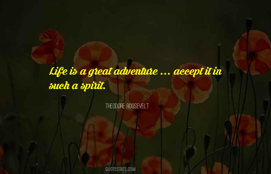 Life Great Adventure Quotes #1644814