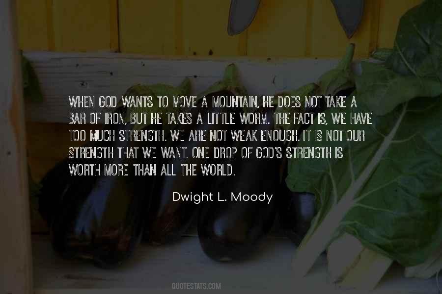 How Do You Move A Mountain Quotes #318774