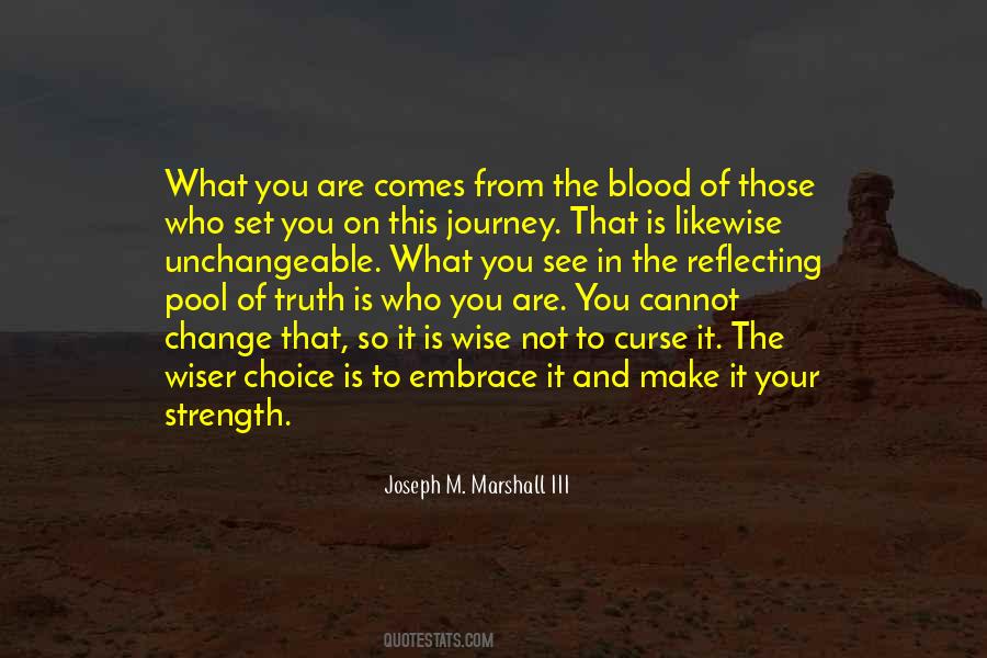 On Your Journey Quotes #930731