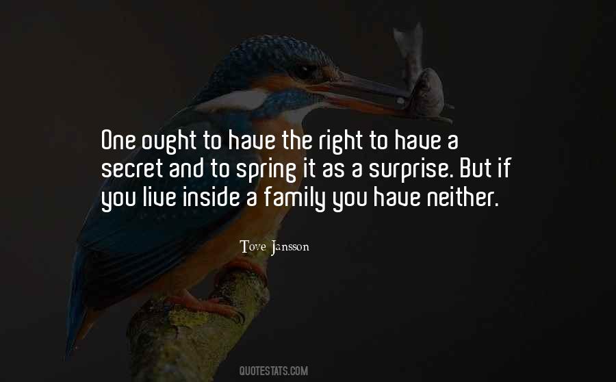 Family Surprise Quotes #1017404