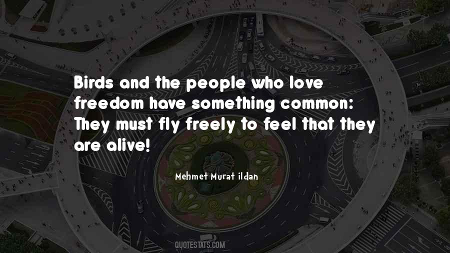 Common Love Quotes #281149