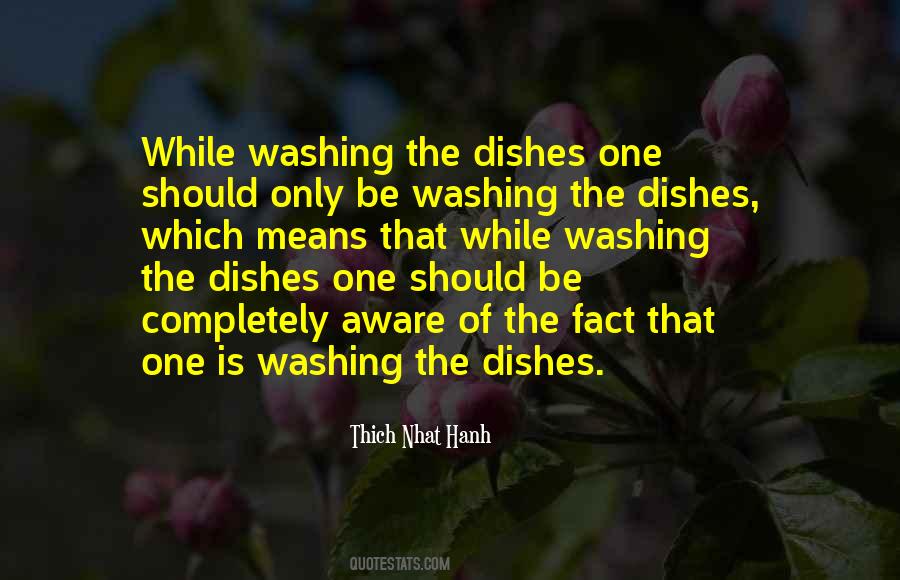 Washing The Dishes Quotes #172118