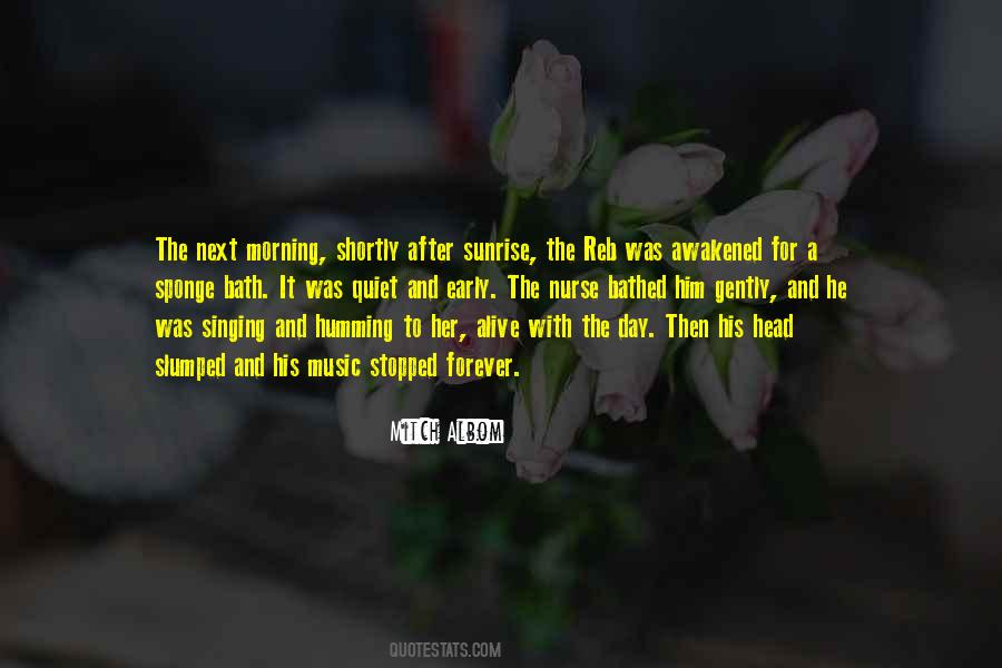 The Quiet Of The Morning Quotes #708538