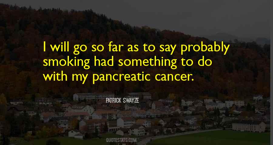 I Will Go So Far Quotes #352335