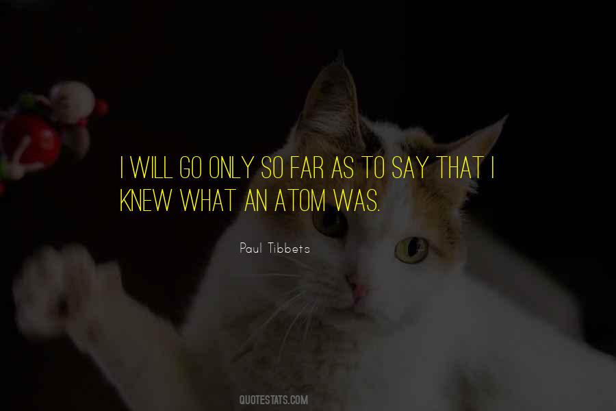 I Will Go So Far Quotes #868653