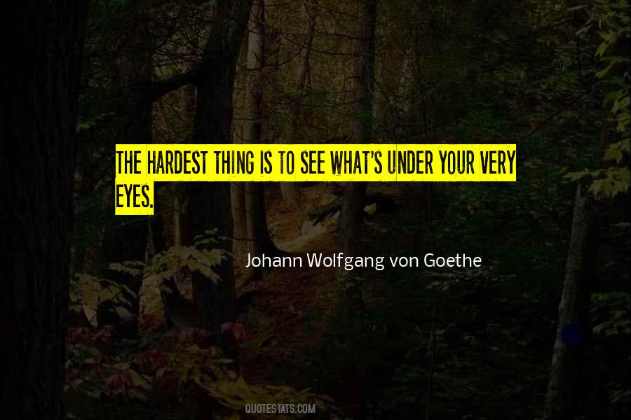 Goethe's Quotes #347403