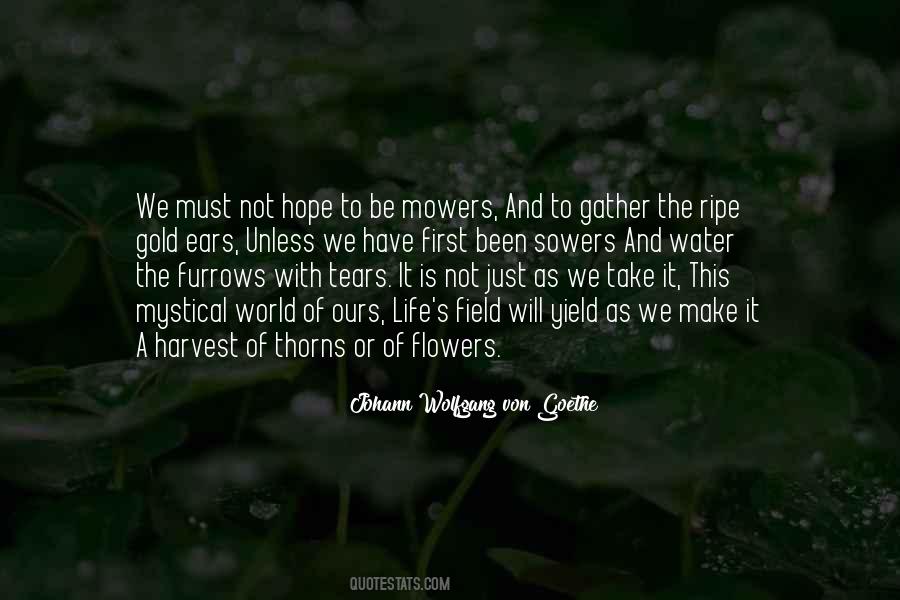 Goethe's Quotes #947788
