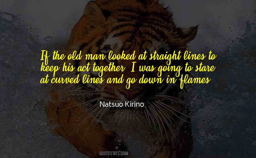 Going Down In Flames Quotes #1439102