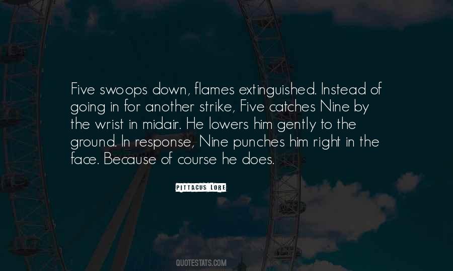 Going Down In Flames Quotes #271793