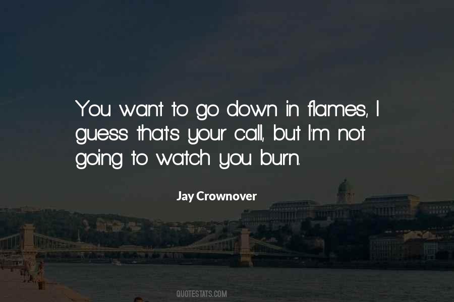 Going Down In Flames Quotes #299831