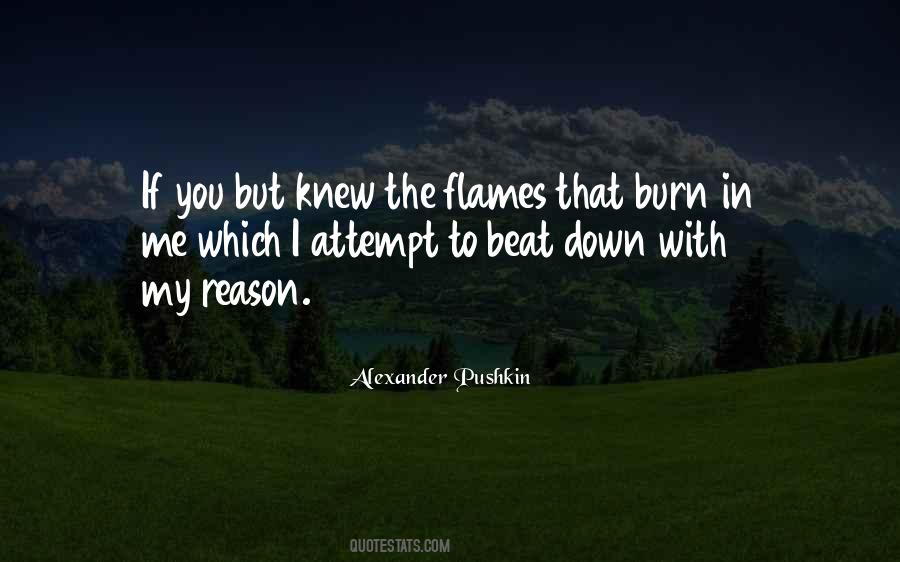 Going Down In Flames Quotes #495211