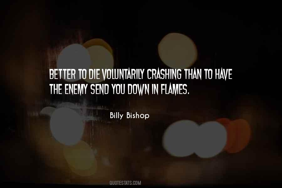 Going Down In Flames Quotes #700075