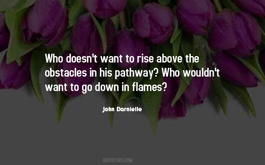 Going Down In Flames Quotes #94361