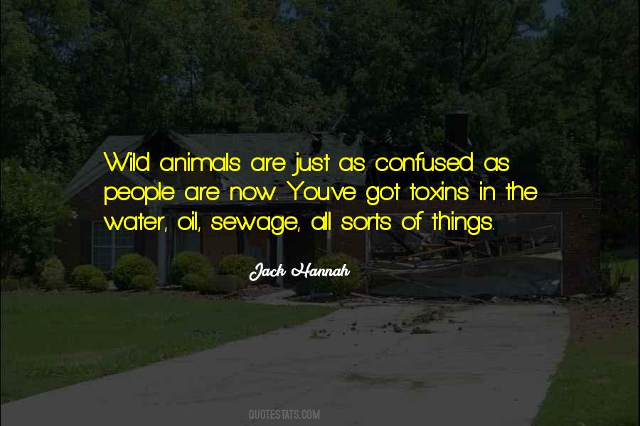 Are You Confused Quotes #826950