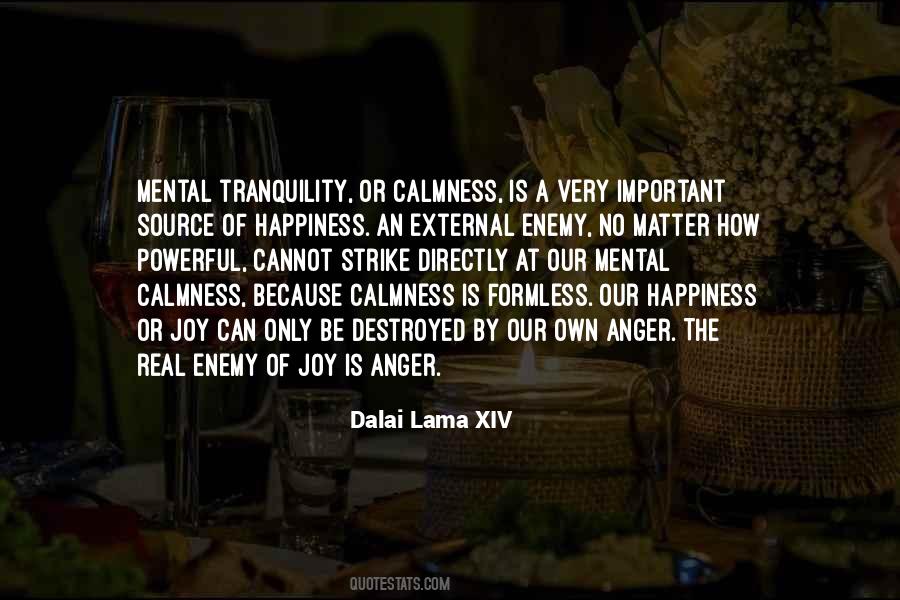 Mental Calmness Quotes #196494