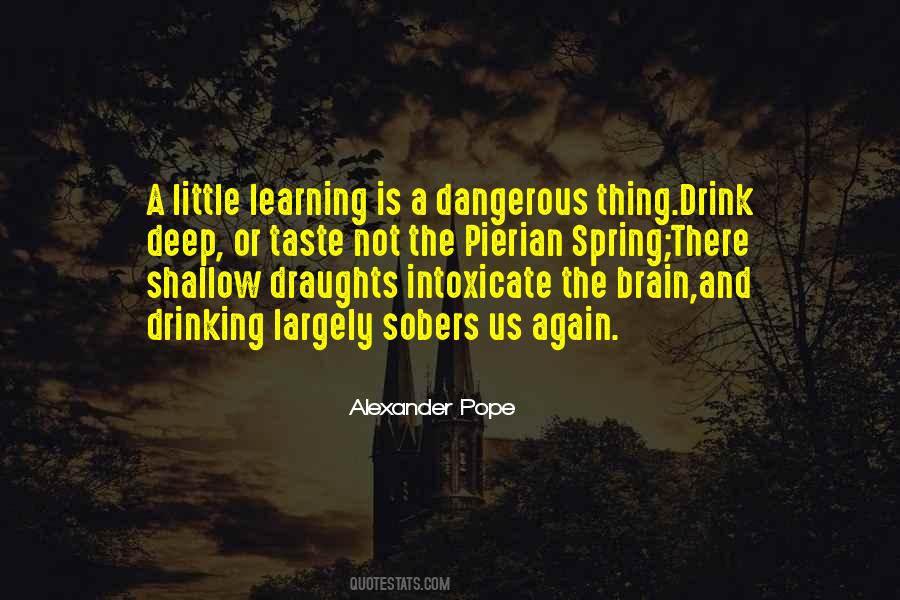 A Little Learning Is A Dangerous Thing Quotes #1361325