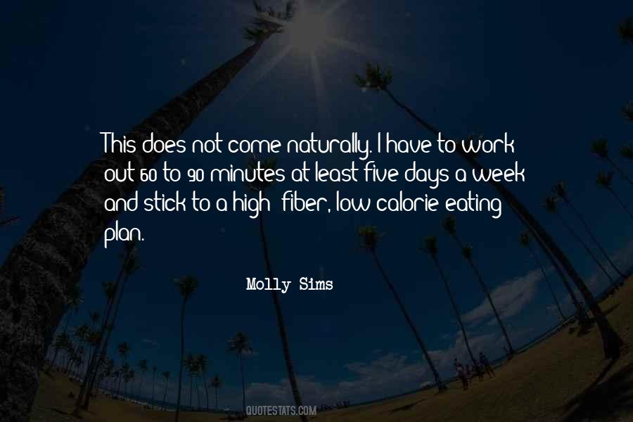 Stick To Plan Quotes #1851496
