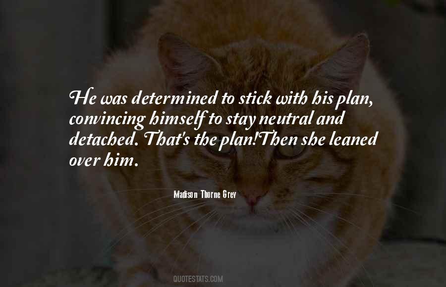 Stick To Plan Quotes #998710