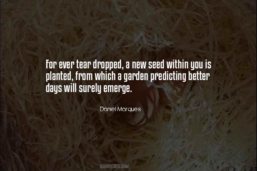From A Seed Quotes #1286095