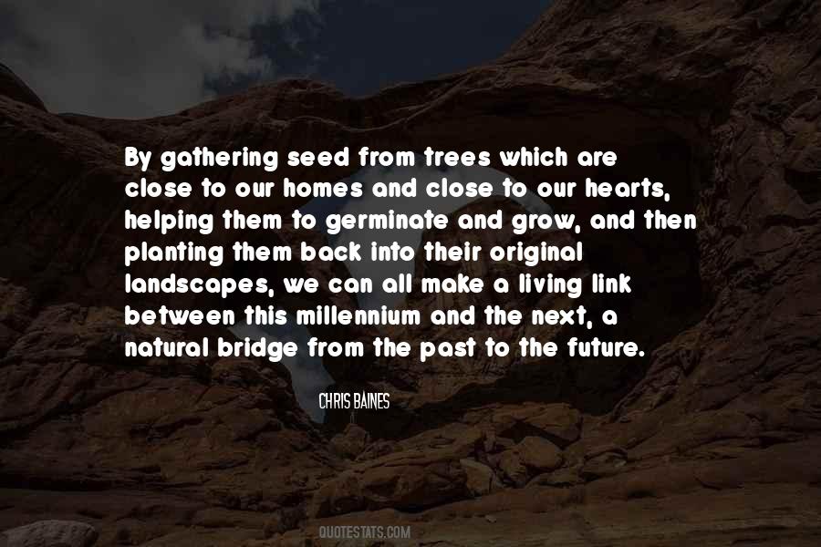 From A Seed Quotes #530283